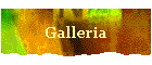 Galleria